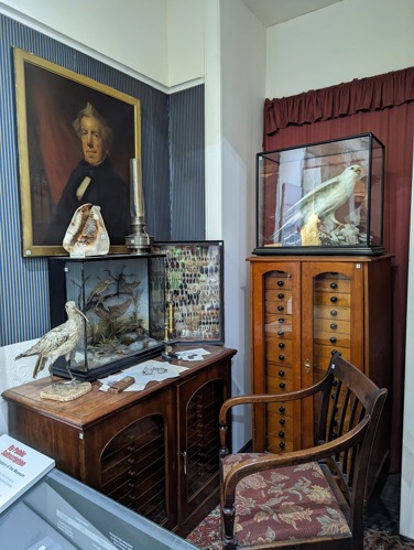 Men of Vision Display