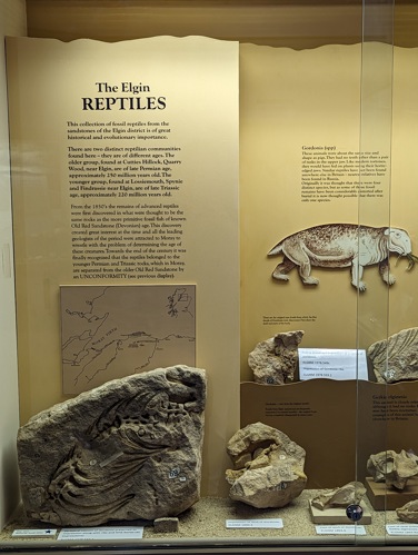Triassic Dispay